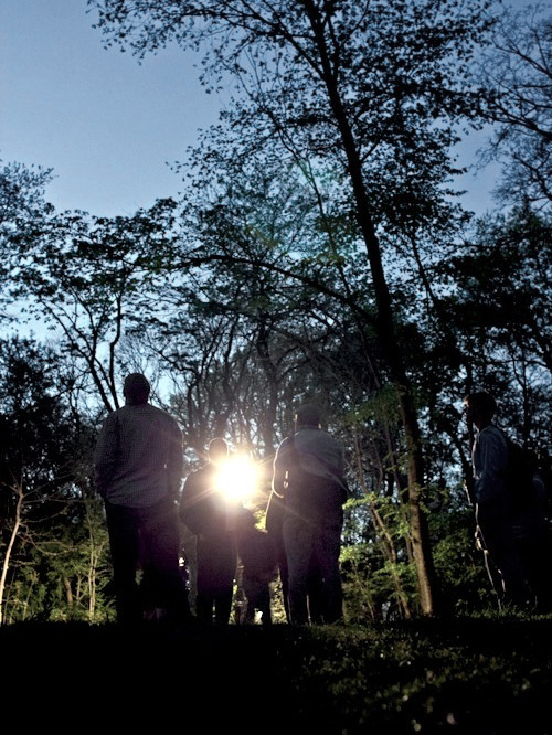 bat walk gabriel willow central park audubon sidetour