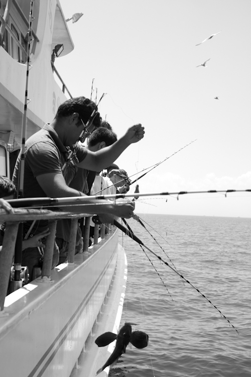 captain steve, sea queen, fluke, fishing