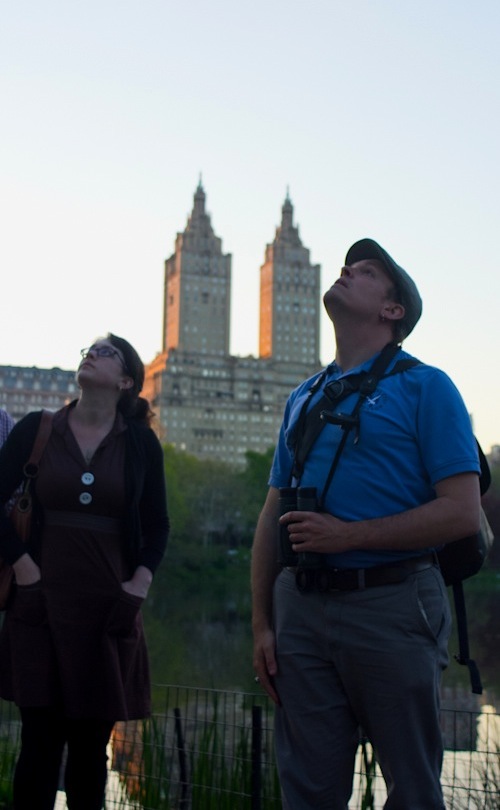 bat walk gabriel willow central park audubon sidetour