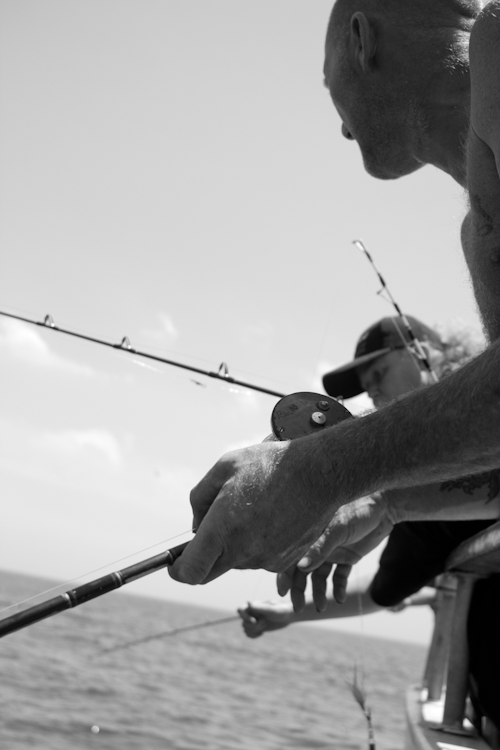 captain steve, sea queen, fluke, fishing